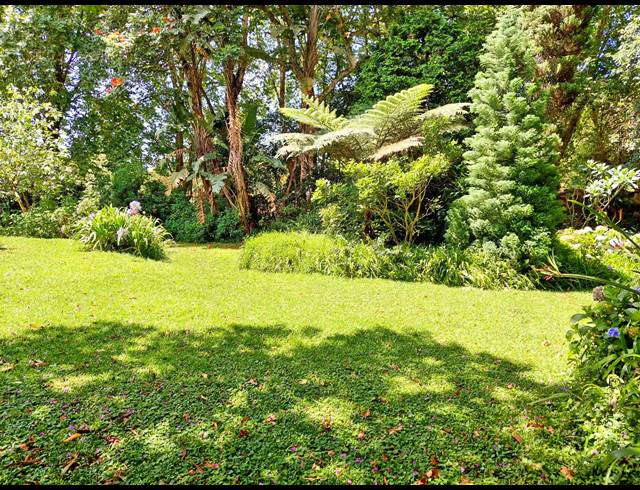 3 BEDROOM HOUSE FOR SALE IN WINSTON PARK